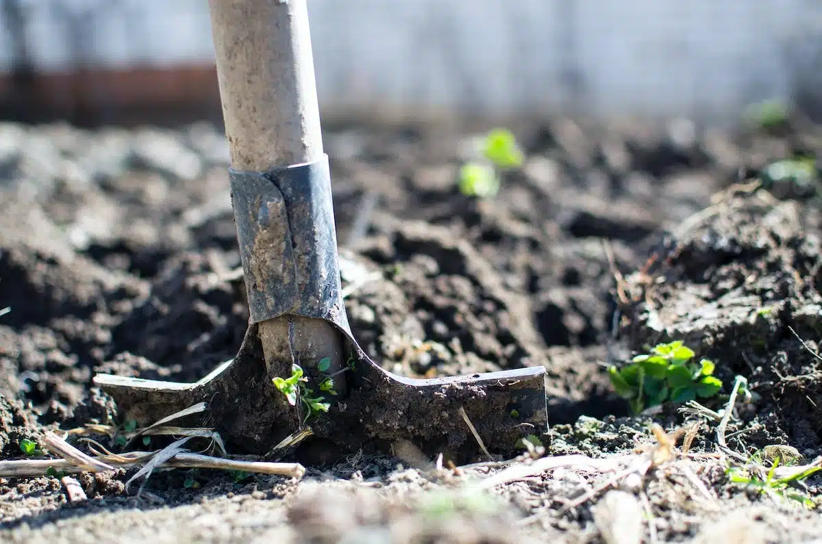 potager surélevé