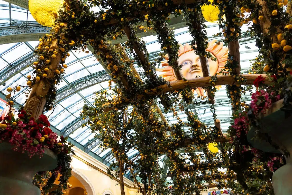 pergola  fleuries