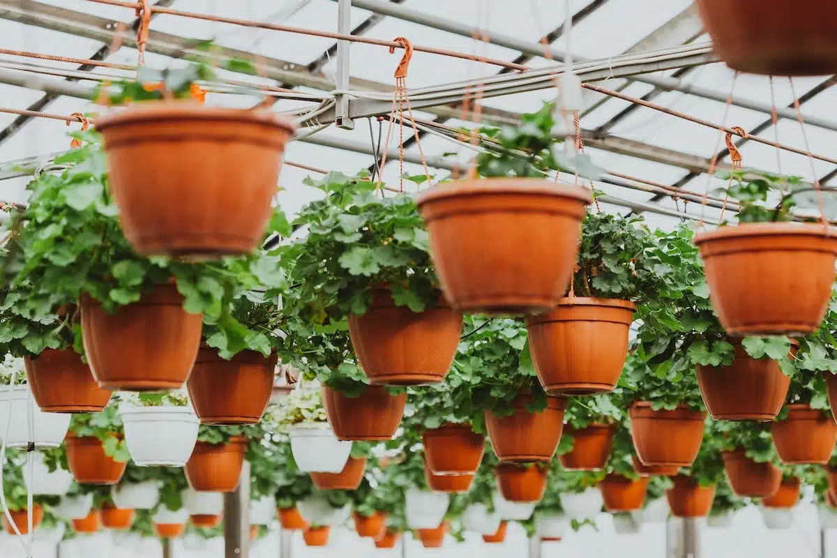 jardin recyclé