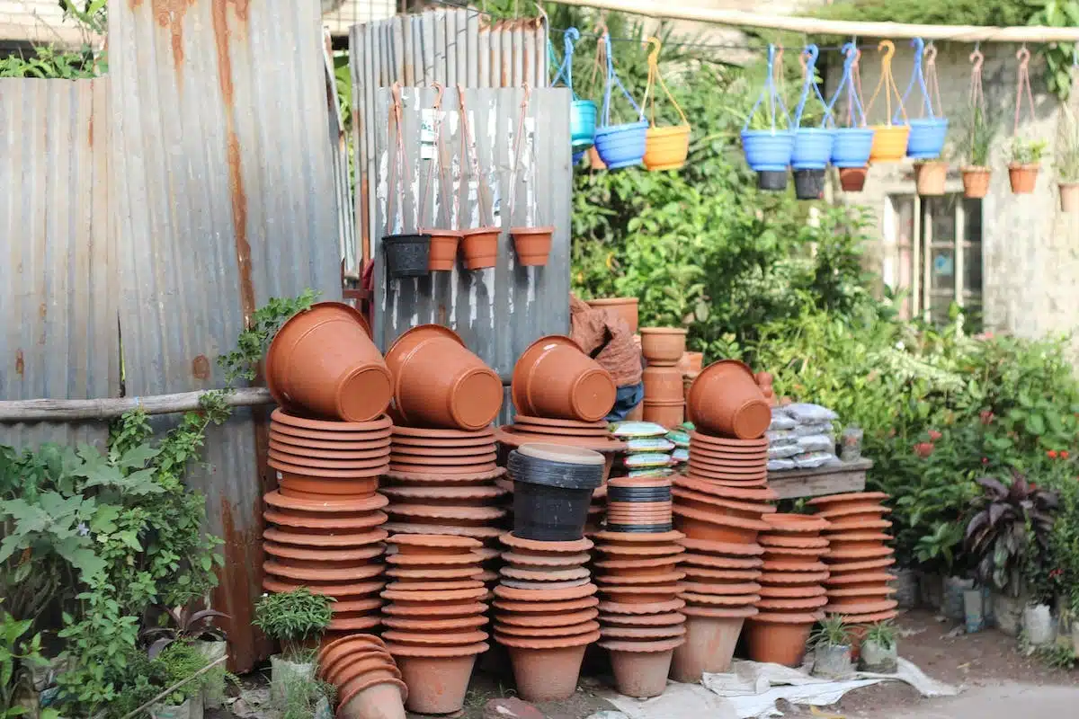 potager balcon