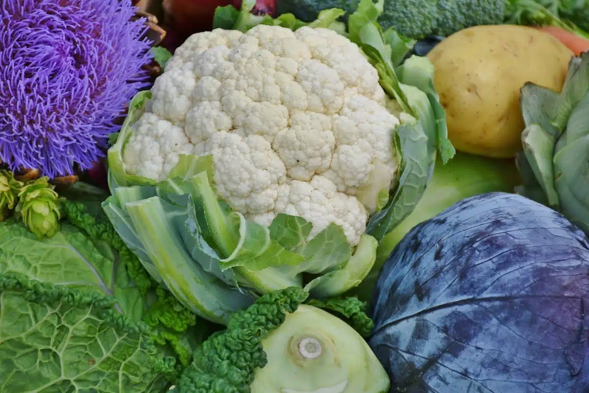 légumes saison