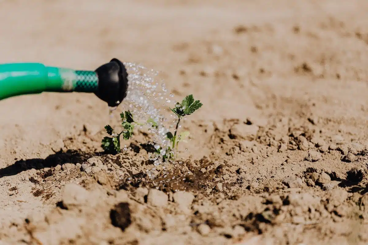 irrigation jardin