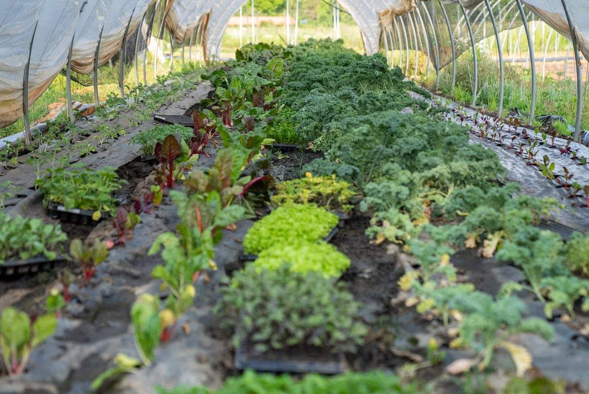 jardin bio