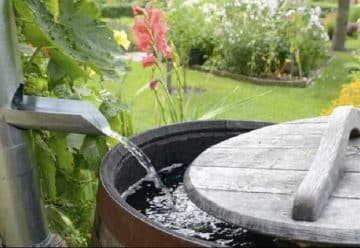 Récupérer l'eau de pluie pourquoi et comment faire