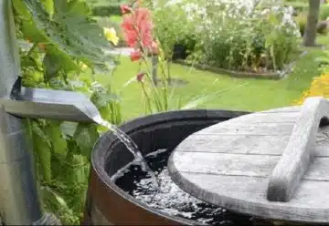 Récupérer l'eau de pluie pourquoi et comment faire