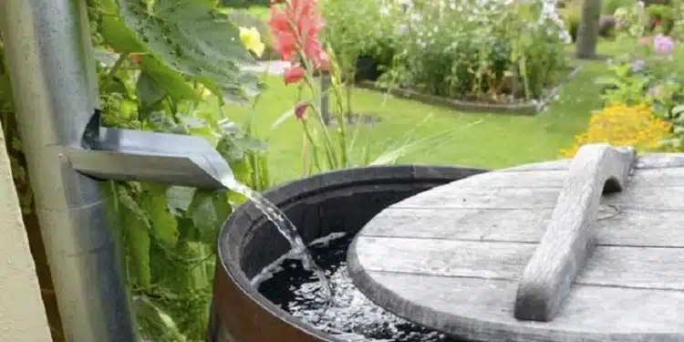 Récupérer l'eau de pluie pourquoi et comment faire