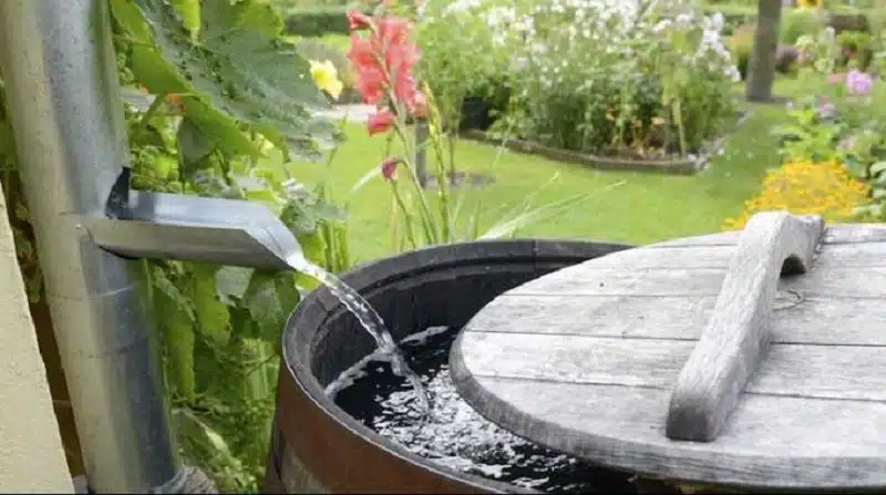 Récupérer l'eau de pluie pourquoi et comment faire