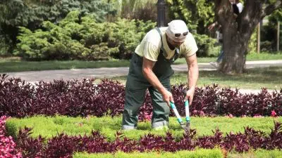 Comment entretenir son jardin ?