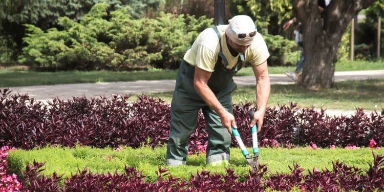 Comment entretenir son jardin ?