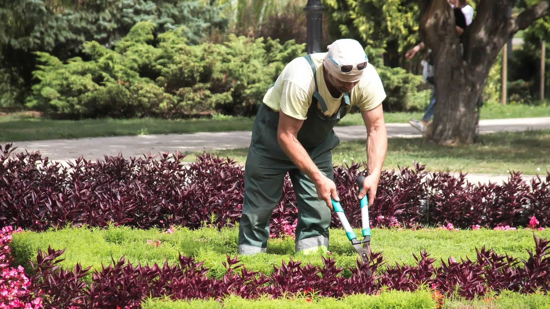 Comment entretenir son jardin ?