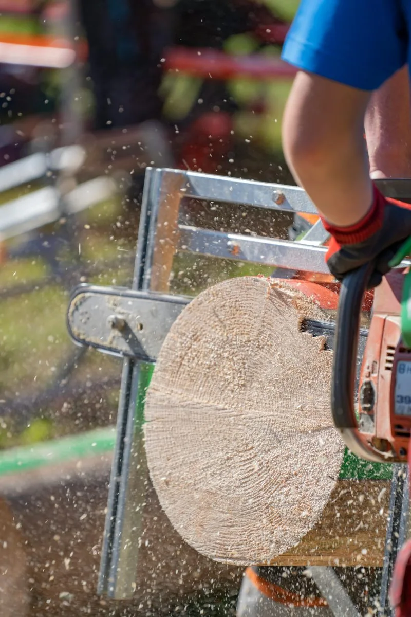 Scie à chevalet UXON en action pour découpe de bois extérieure