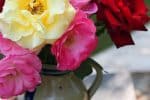assorted-color flowers in vase