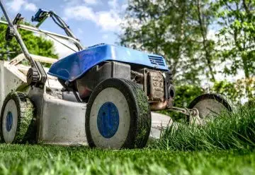 Les applications sont-elles efficaces pour le jardinage ?