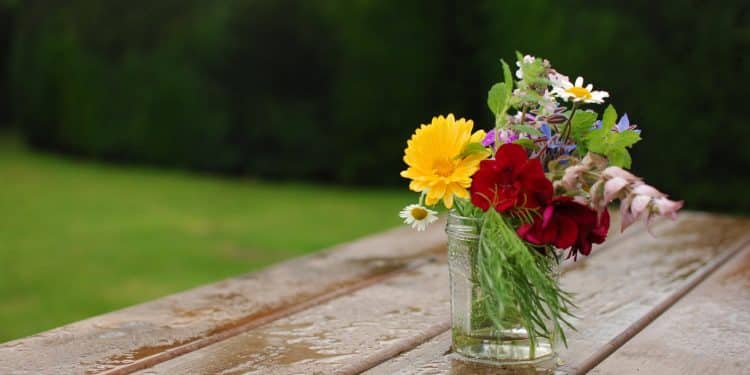 Quels sont les critères de choix d’un salon de jardin ?