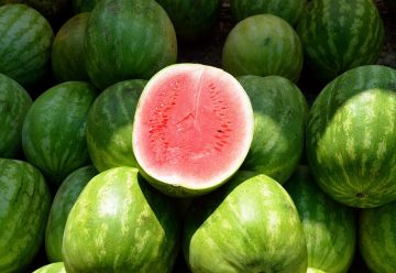 graines de pastèque